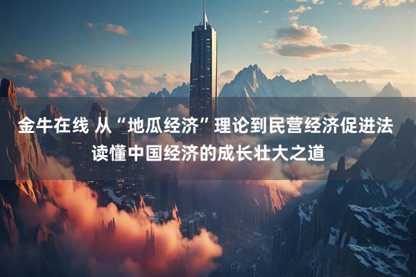金牛在线 从“地瓜经济”理论到民营经济促进法 读懂中国经济的成长壮大之道