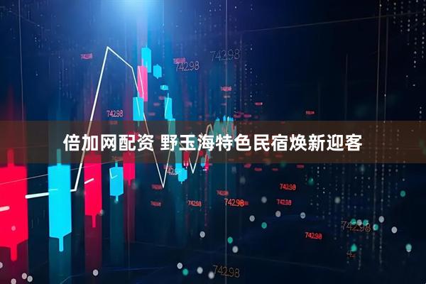倍加网配资 野玉海特色民宿焕新迎客