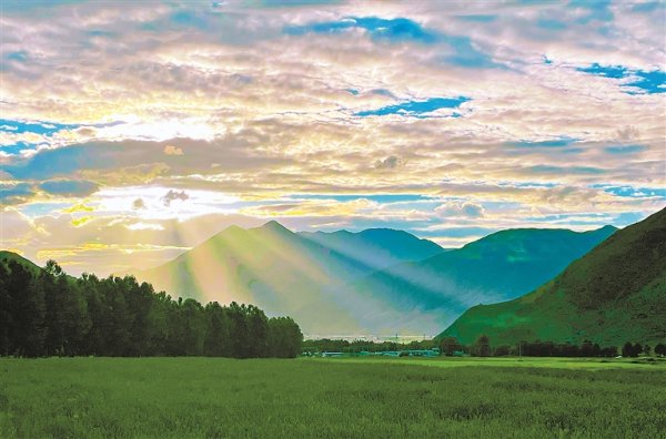 天织股票配资 追“风”逐“光” 向绿而行