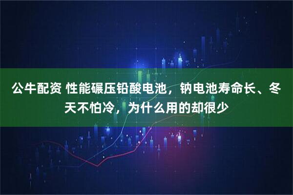 公牛配资 性能碾压铅酸电池，钠电池寿命长、冬天不怕冷，为什么用的却很少